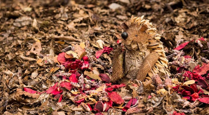 Стала старой...