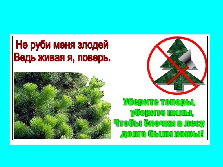 Не руби выше головы щепа глаза запорошит. Листовка спасем елочку. Не руби выше головы щепа глаза запорошит. Не руби выше головы щепа глаза запорошит. Не руби выше головы щепа глаза запорошит.