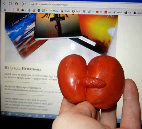 Что случилось с помидоркой