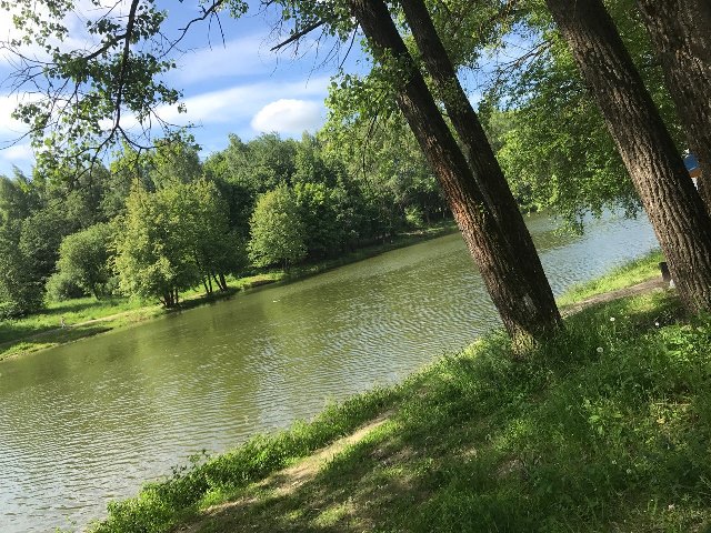 Соловьиная роща