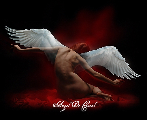 ты подарил мне крылья и научил летать