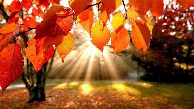 Я говорю, Спасибо Небесам!