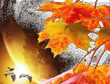 А осень-это не всегда печаль...