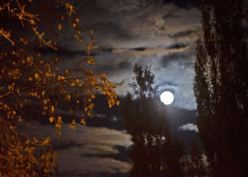 Ноябрьское