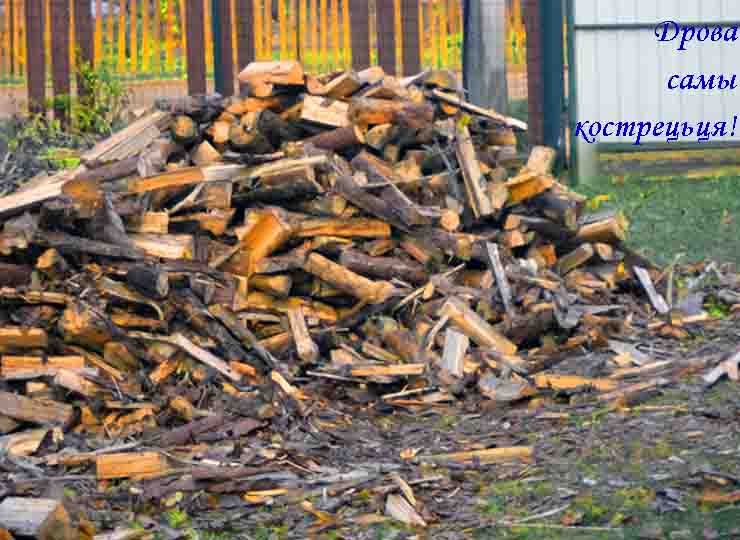 Диткы квиткы ш ву шпань