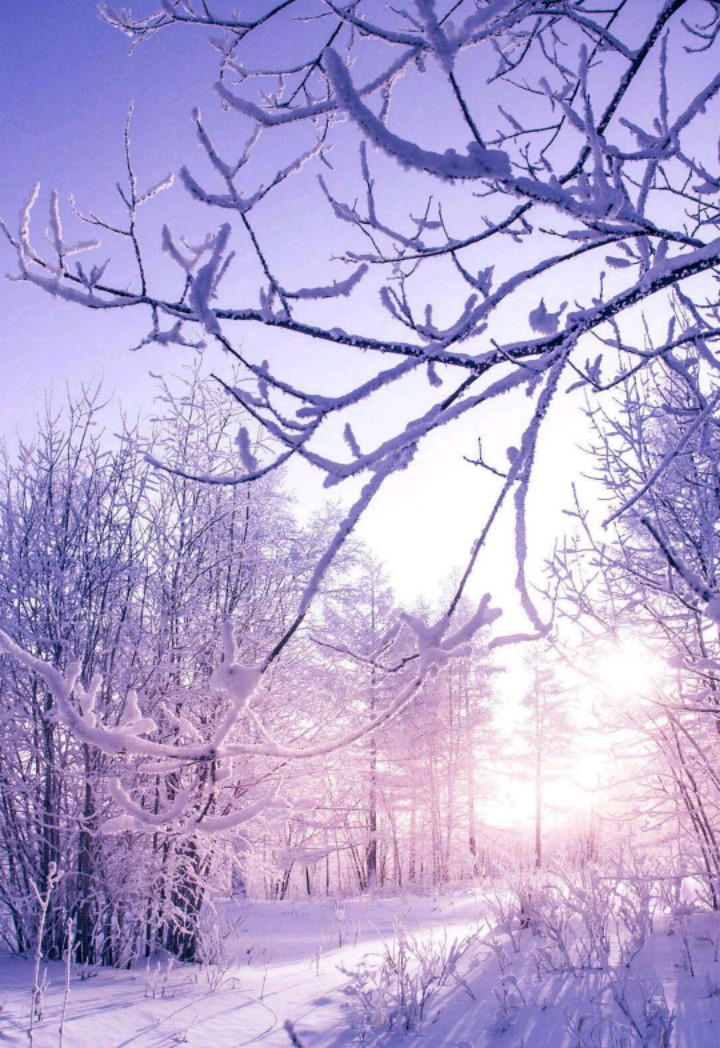 Зимний пейзаж