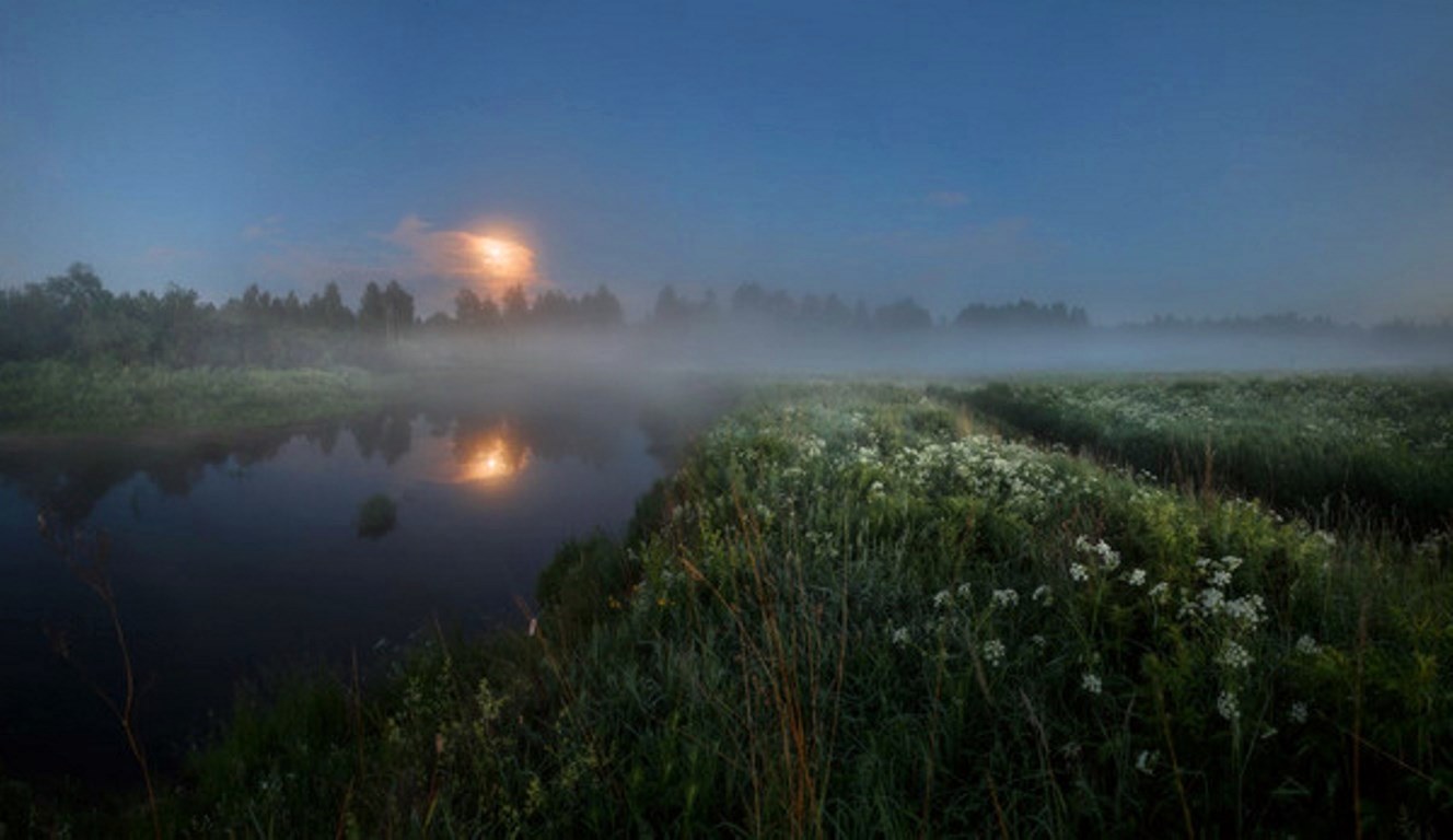 Туман стелется над полями и над синей. Белые ночи в Вологодской области. Белые ночи природа. Река Юг Вологодская область. Белые ночи Вологда.