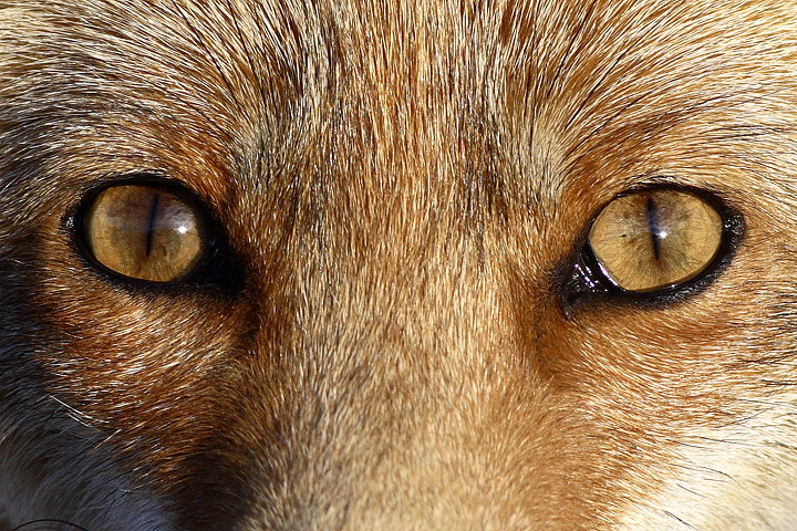 Рецензия на писанину Татьяны Хакиной