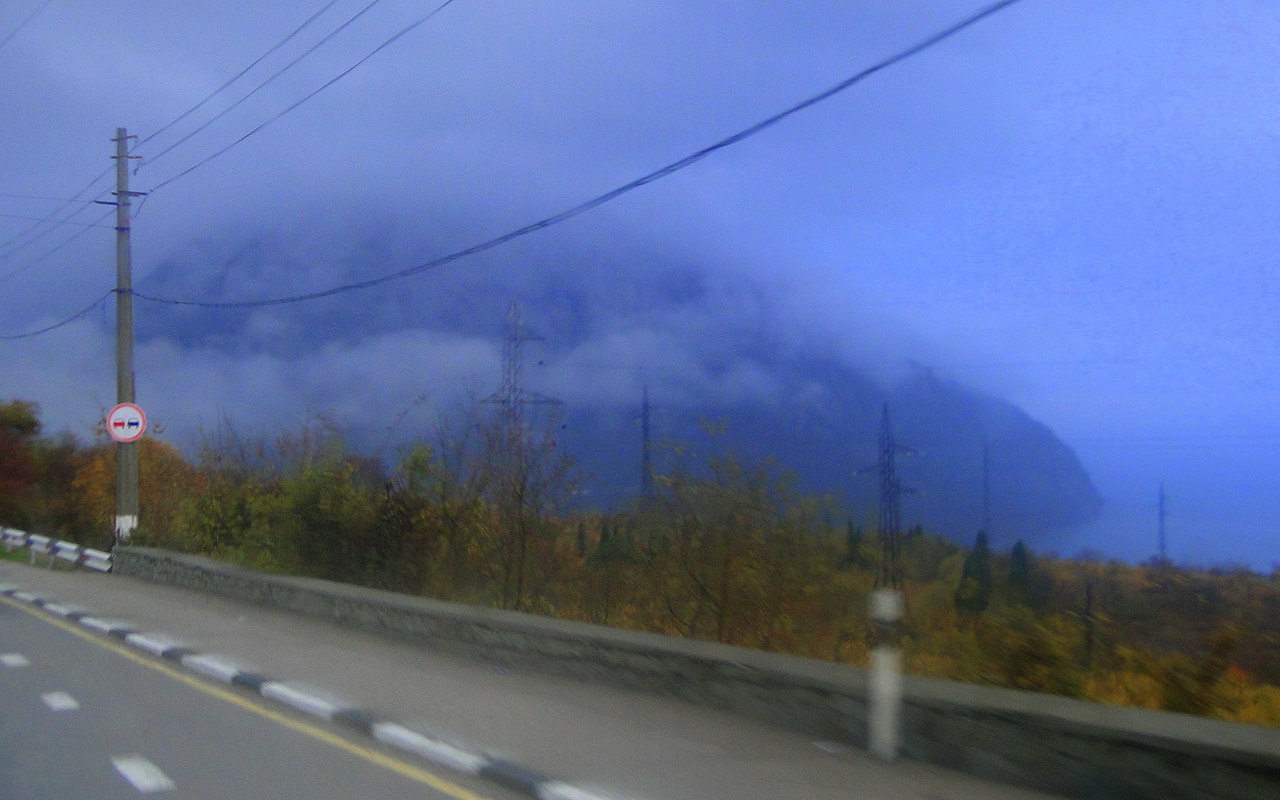 Старый медведь