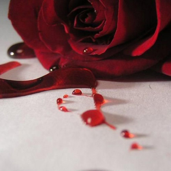 У всех цвет крови алый