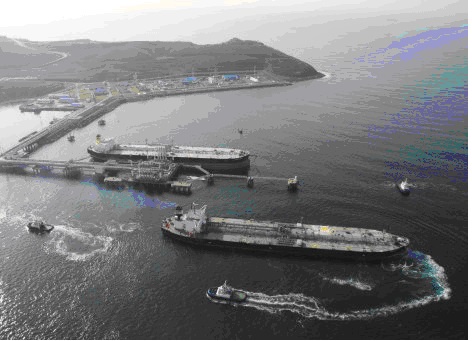 8. Нефтяные порты и нефтеналивные терминалы