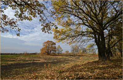 Уходит осень