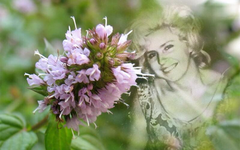 Ностальгия