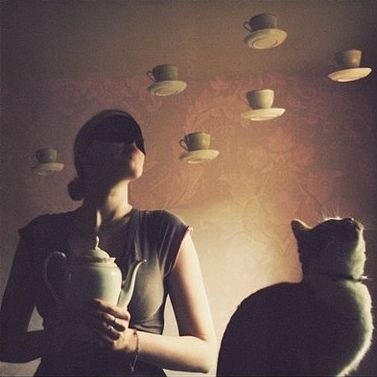 ноябрьское сейчас