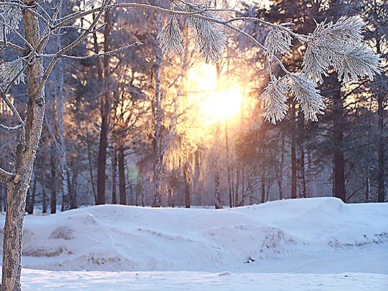 Морозное утро