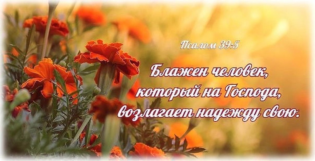 Не унывай в своём пути земном