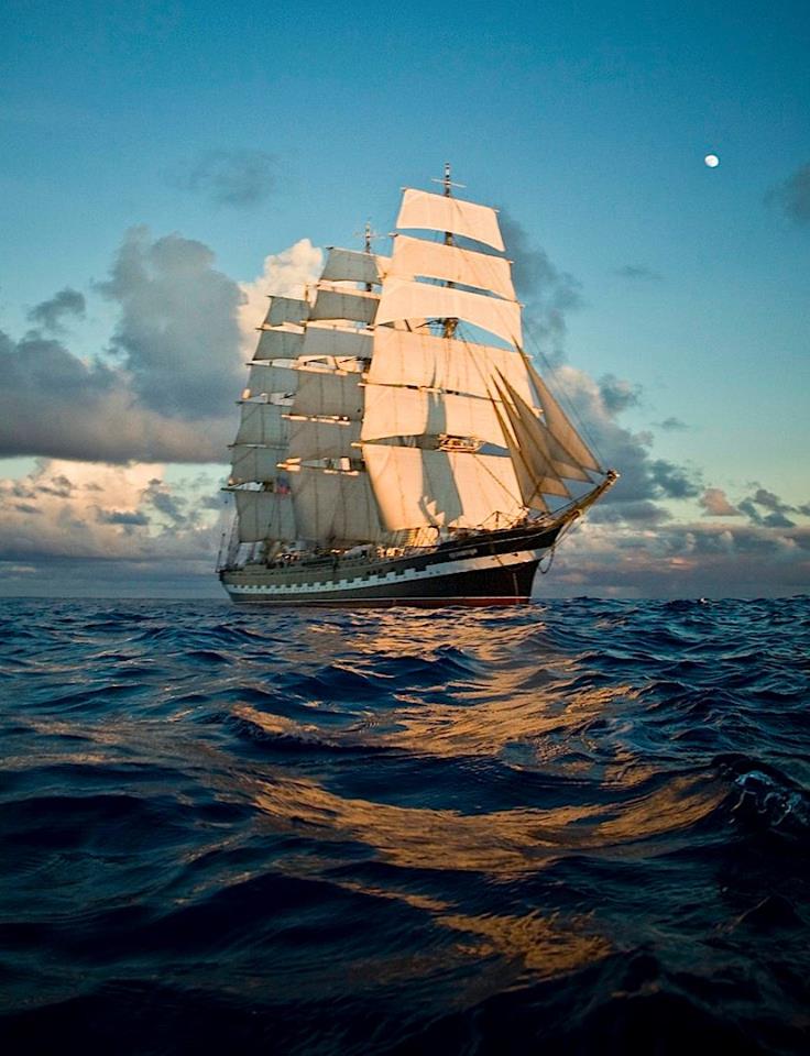 Молчанью души научится