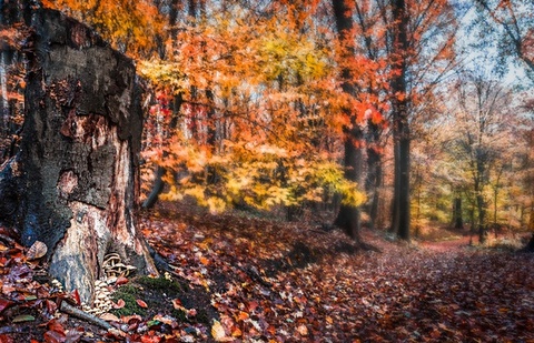 Ноябрьская Евхаристия