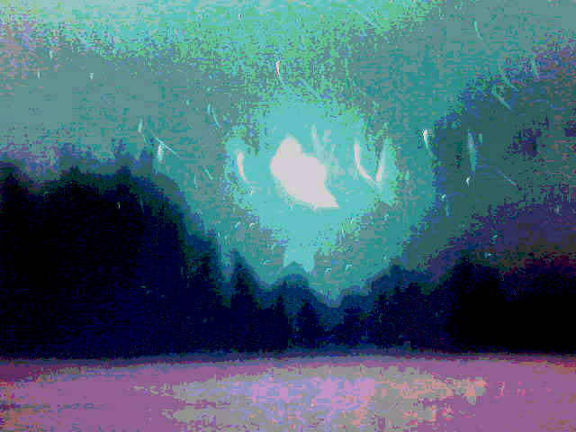 Лился мёдом липы цвет