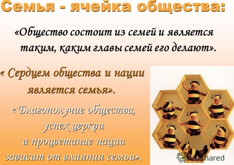 семья как первичная ячейка общества. семья это первичная ячейка общества. семья это первичная ячейка общества. семья это первичная ячейка общества. семья как ячейка общества.