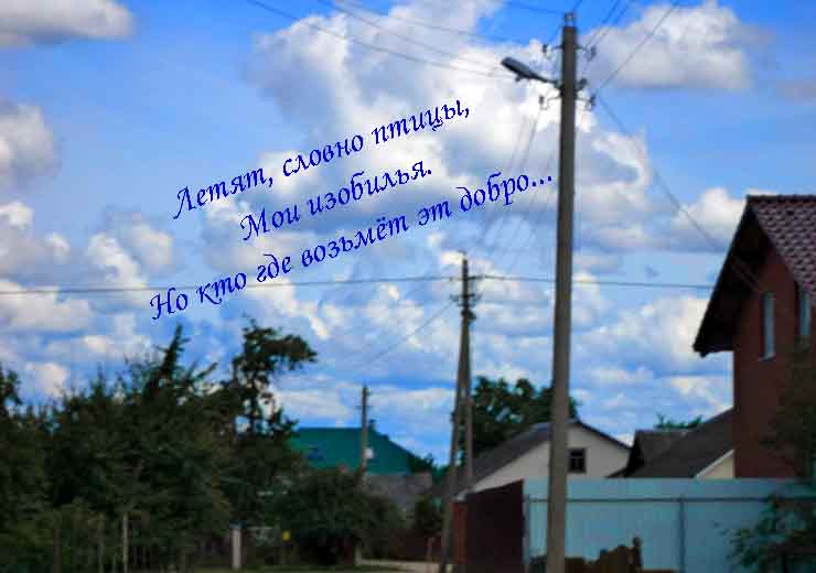 Пропаганды полмынеймы