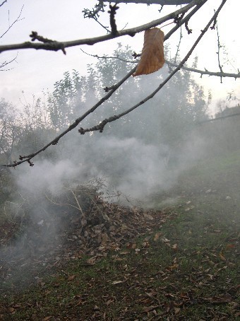 Осенний сон