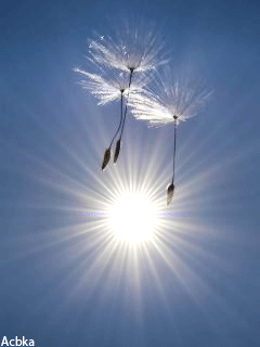 Напомню я вам о себе...