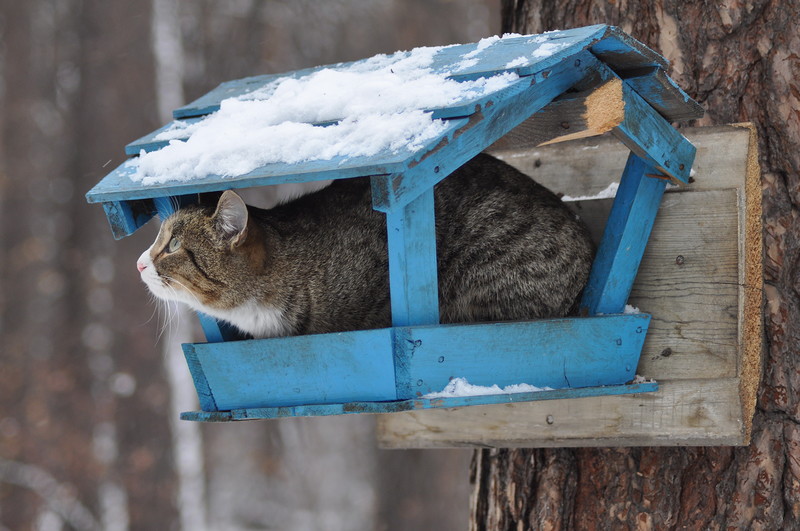 102. Как ни странно