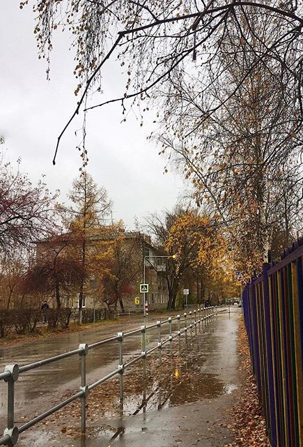 Загрустила осень окончательно