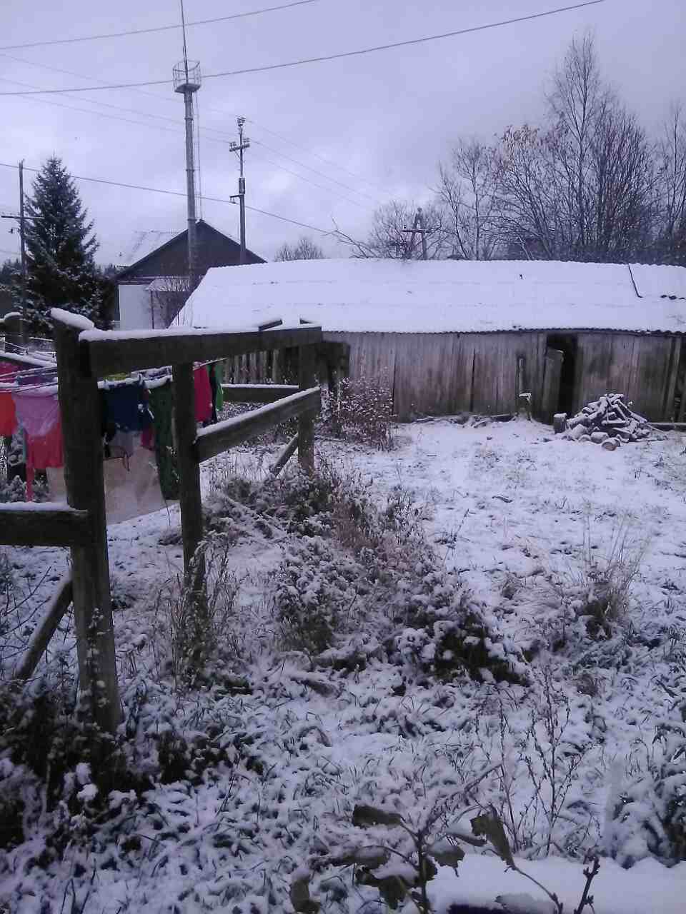 3384 Снежный человек сонет