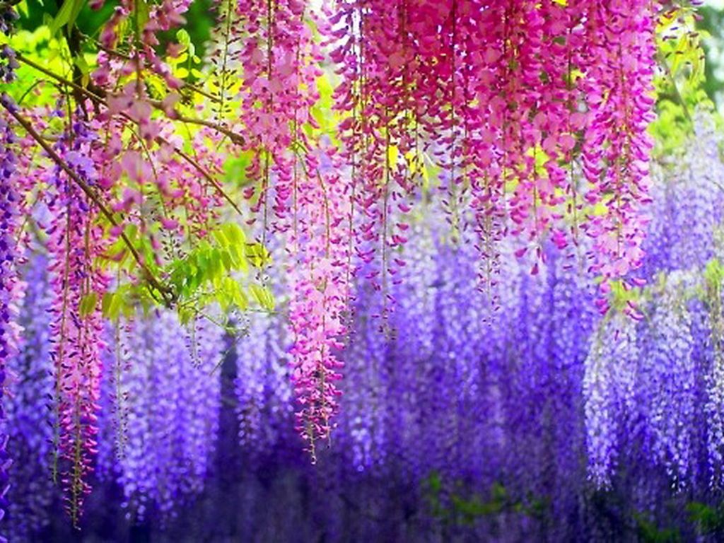 Слово о поэте..