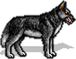 Ходит по улицам волк одинокий...