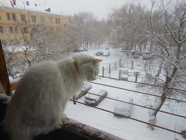 и знать, зима всего лишь неизбежность