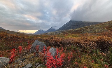 Вам посылка
