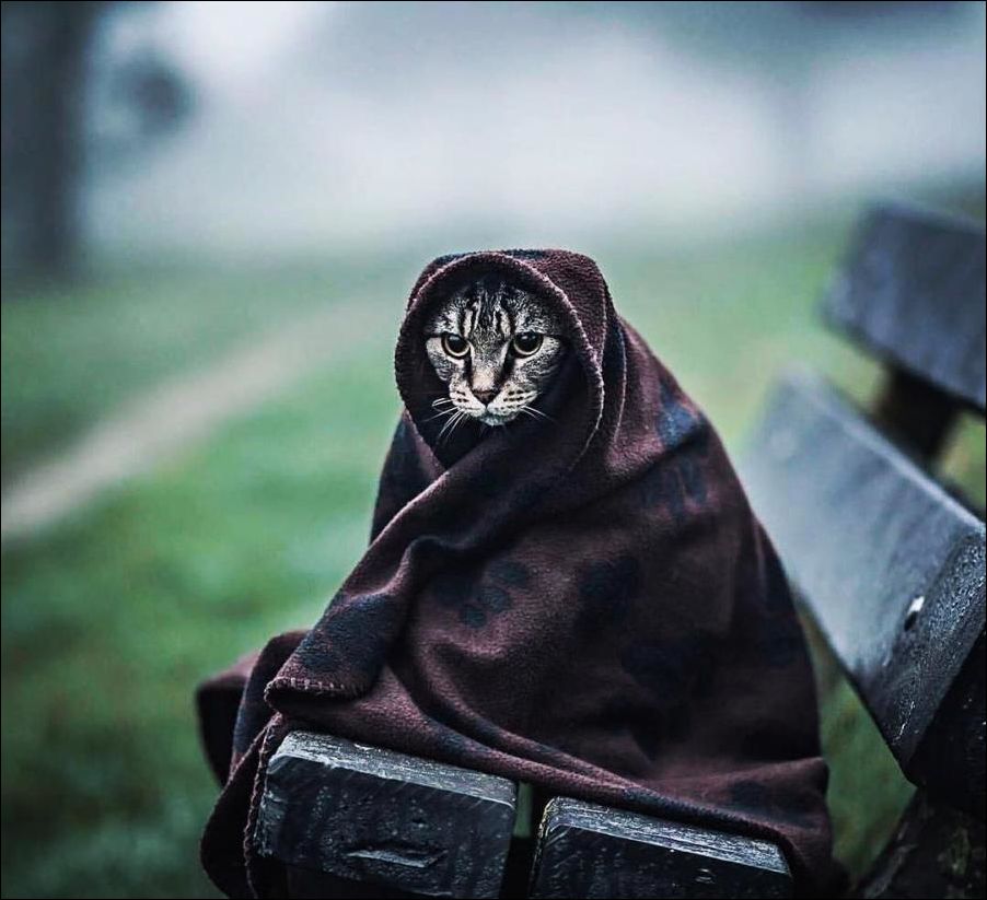 Сижу на лавочке сырой...