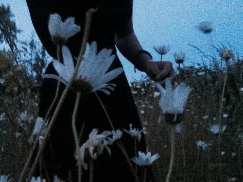 Ярким солнцем земля вся согрета!