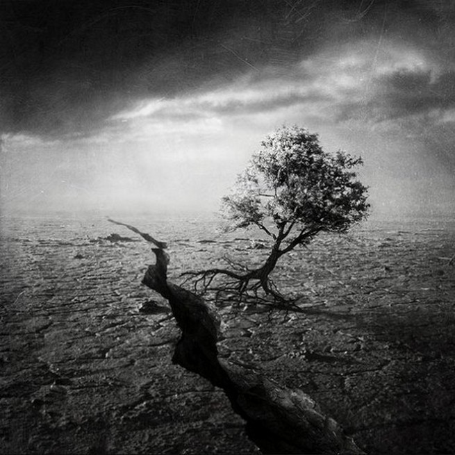 Стать бы всем нам людьми...