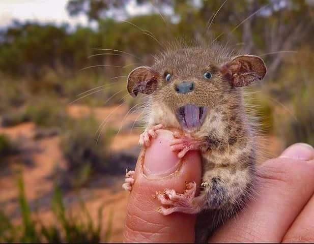В день твоего рождения