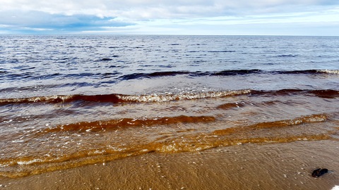 РУлит Интернет