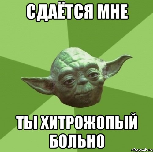 Ни ропота, ни рыка, на авось!