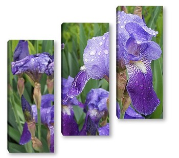 На волне аббревиатуры фэншуя-69