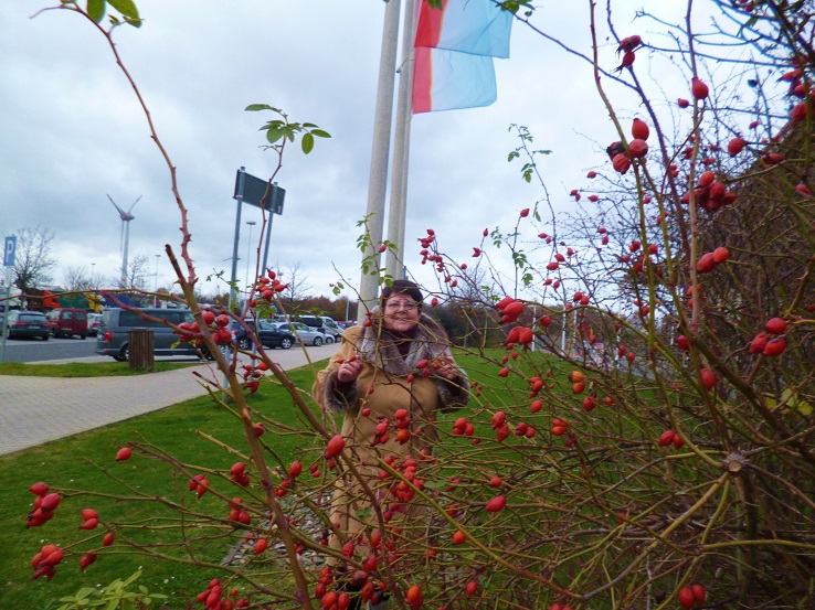 Nicht verlorene Zeit
