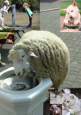 Куда без неё?!