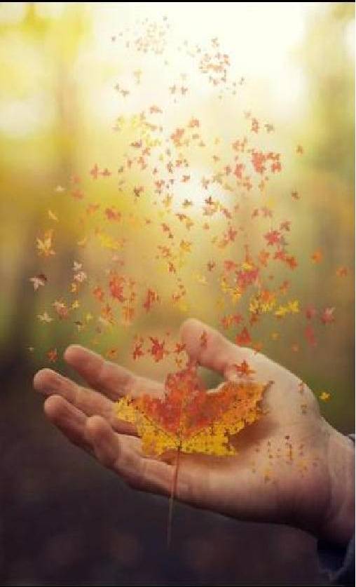 По веленью души