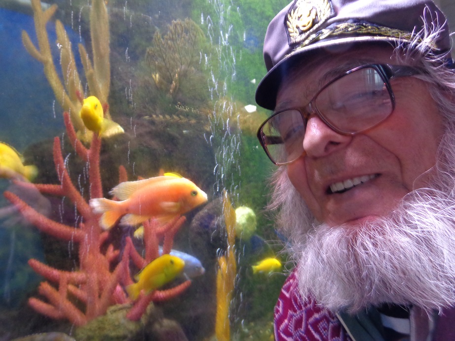 А в Царицу я влюблюсь! Году Кино