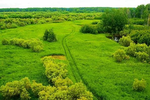 Раздолье