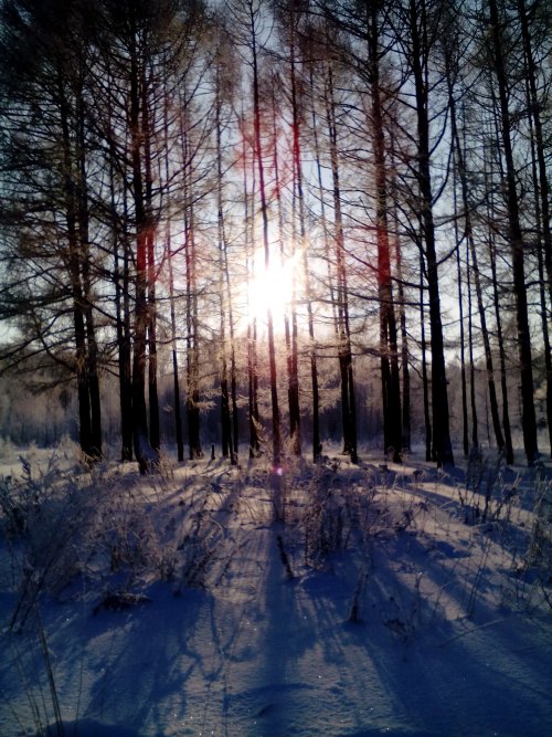 Зайдется солнце...