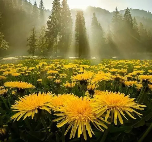 Вы скромно встанете в сторонке