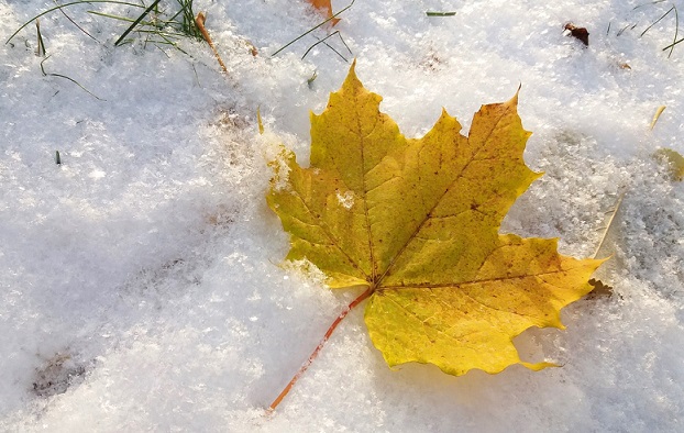 И вот итог...