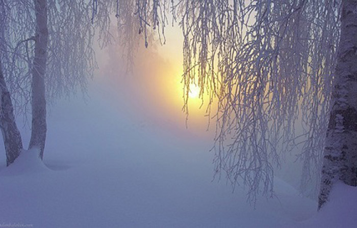 А всего-то - пришла вдруг зима...